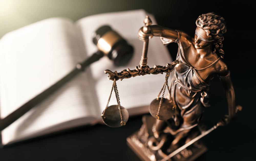 Avocat litiges et troubles du voisinage à Nice